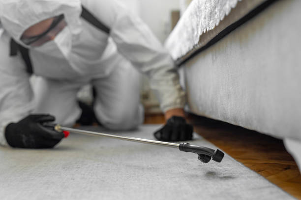Professional Bed Bug Control technician working in Levy County County, FL